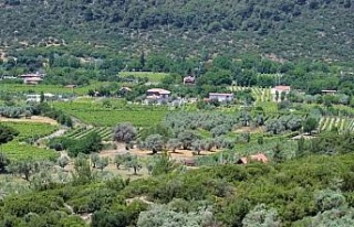 EKODOSD’tan Kirazlı için çağrı