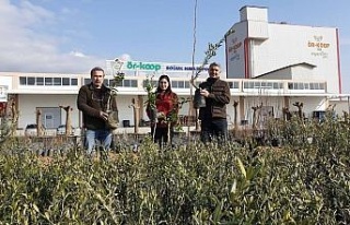 ÖRKOOP’tan bölge tarımına kaliteli fidan desteği