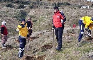 Aydın’da 112 fidan toprakla buluştu