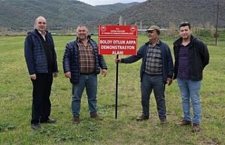 Aydın’da yerli tohum kullanımının arttırılmasına...