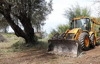 Didim Belediyesi orman yangınlarına karşı çalışmalarını...