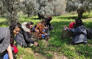 Doğa dostu öğrenciler, çevre temizliği yaptı