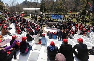 Efelerin dev festivali başladı