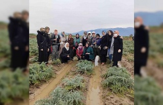 Efelerli AK Kadınlar ’8 Mart’ta tarlaya indi