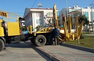 Kuşadası Belediyesi 547 ağacı kesilmekten kurtardı