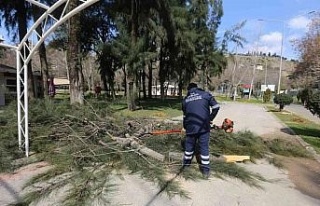 Pınarbaşı Mesire Alanı, Efeler’in festivaline...