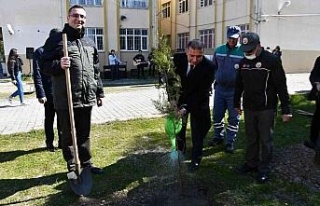 Söke’de Orman Haftası’nda fidan dikim etkinliği