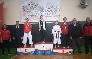 Analig Yıldızlar Karete Grup Müsabakaları tamamlandı