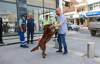 Aydın Büyükşehir Belediyesi, Koçarlı Belediyesi...