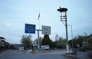 Baharın müjdecisi leylekler Aydın’ı mesken tutuyor