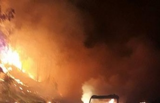 Balık yüklü kamyonet cayır cayır yandı