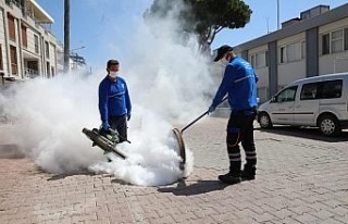 Didim Belediyesi ilaçlama çalışmalarına başladı