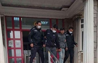 Didim’de iki hırsız tutuklandı