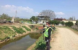 Nazilli’de vektörle mücadele çalışmaları devam...