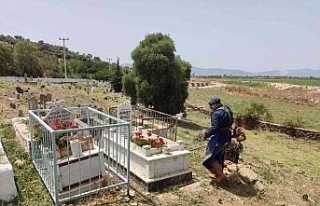 Söke Belediyesi, bayram öncesi mezarlık temizliği...
