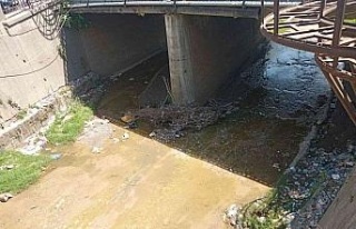 Belediye temizliyor, duyarsız vatandaşlar kirletiyor