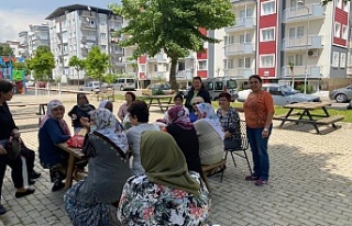 İYİ PARTİ AYDIN KADIN KOLLARINDAN MAHALLE ZİYARETİ