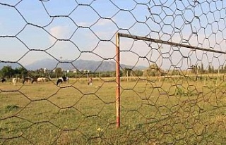 Kime niyet, kime kısmet