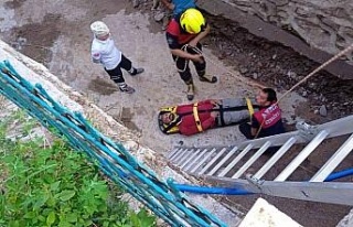 Ağaçtan dereye düşen şahsı itfaiye kurtardı