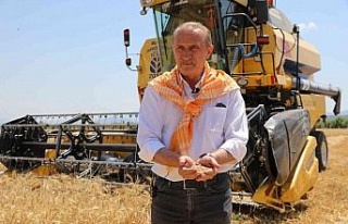 Başkan Atabay ilk buğday hasadını yaptı