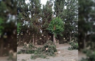 Belediye ekipleri anında müdahale etti, fırtına...