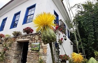 Bu çiçeği koparmanın cezası 109 bin TL