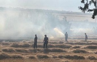 Buğday tarlasında çıkan yangın korkuttu