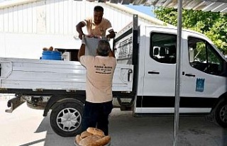 Can dostların mamaları Kuşadası Belediyesi’nden