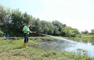 Efeler Belediyesi ilaçlama çalışmalarına hız...