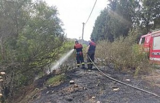 Efeler’de arazi yangını