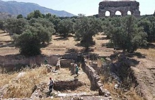 Efeler’den Tralleis Antik Kenti’nde kuru ot temizliği