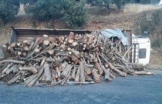 Freni boşalan kamyonun sürücüsü ölümden döndü