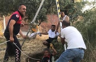 Germencik’te kuyuya düşen kedinin imdadına itfaiye...