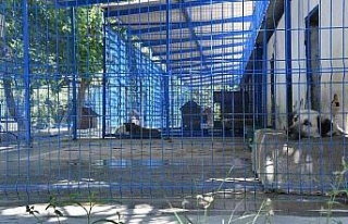 Kuşadası’nda 2022 yılının ilk beş ayında...