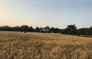 Para için değil örnek olmak için ekti