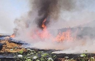Söke İlçe Tarım Müdürlüğü’nden ’anız...