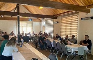 Üreticiler ’kestane gal arısı’ zararlısına...