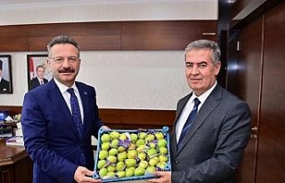 Başkan Erol, sezonun ilk incirini Vali Aksoy’a...