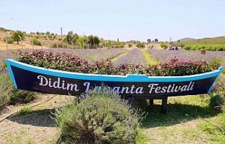Didim Lavanta Festivali için gün sayıyor