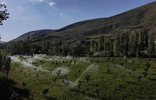 İlçe Tarım Müdürlüğü’nden “Gece sulaması”...