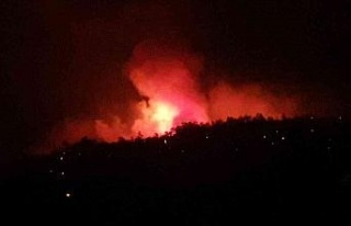Karacasu’da orman yangını büyümeden söndürüldü
