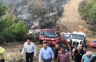 Vali Aksoy, yangın bölgesinde incelemelerde bulundu