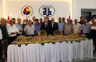 Aydın’da sezonun ilk kuru inciri 350 liradan satıldı