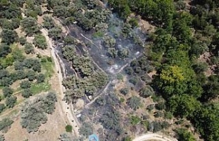 Bozdoğan’daki zirai alandaki yangın söndürüldü