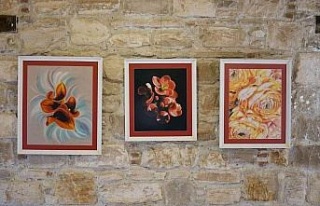 Doğadan Güzellikler isimli karma resim sergisi İbramaki...