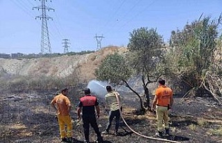 Kuşadası’nda korkutan yangın