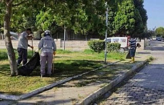 Söke Belediyesi Park İşleri Ekipleri çalışmalarında...