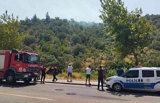 Söke’deki yangın kısa sürede kontrol altına...