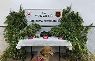 Aydın’da bir haftada 6 uyuşturucu taciri tutuklandı