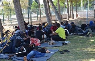 Didim açıklarında 47 düzensiz göçmen yakalandı